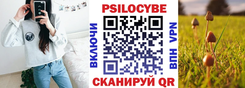 Псилоцибиновые грибы мухоморы  купить наркоту  Северск 